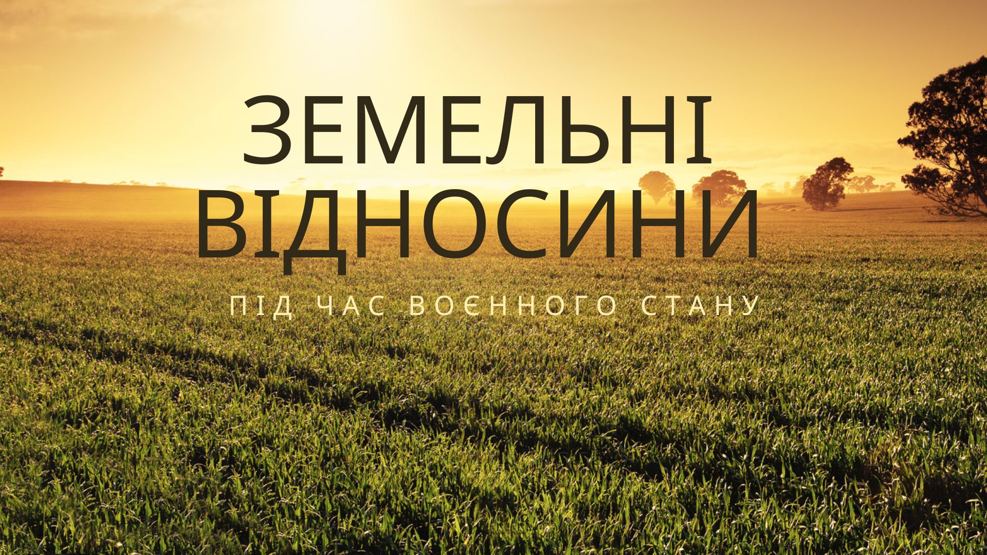 Приватизація земельної ділянки в умовах воєнного стану